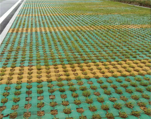 植草砖铺设 植草砖铺设